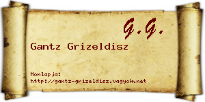 Gantz Grizeldisz névjegykártya
